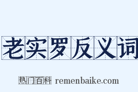 老实罗反义词是什么意思的图片